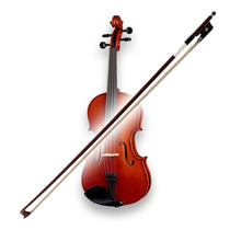 Archetti per Viola