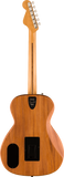 Fender Highway Series Parlor RW Natural Chitarra Acustica Elettrificata