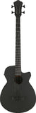 IBANEZ AEGB420-BOT Basso Elettroacustico