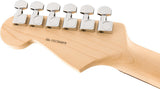 Fender American Professional Stratocaster RW Candy Apple Red Chitarra elettrica con borsa rigida
