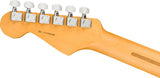 Fender American Professional II Stratocaster HSS RW Dark Night Chitarra elettrica con borsa