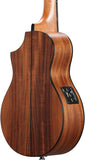 IBANEZ EWP12EWB-OPN Open Pore Natural