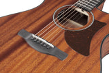 Ibanez AAM54CEOPN Open Pore Natural Chitarra Acustica
