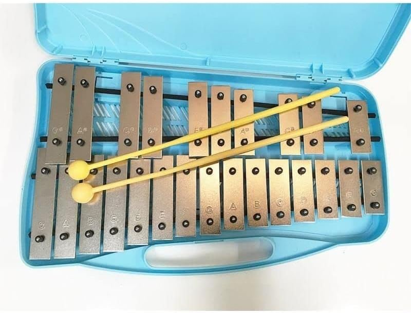 Metallofono Angel 25 note, cromatico, con piastre trattate, astuccio e mallets inclusi, dimensioni 390x240mm
