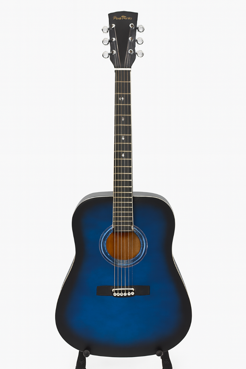 darestone chitarra acustica usata