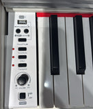 ECHORD DPX100 White Pianoforte Digitale 88 Tasti bianco con stand