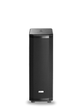 FBT Ventis 206A Cassa Attiva 2x65" Biamplificata Con DSP 900w