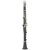 Clarinetto Sib 17 chiavi Boehm, corpo ABS, finitura nichel, astuccio in foam, progettato per studenti alle prime armi