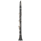 Clarinetto in Sib con 17 chiavi Boehm, corpo in ABS, finitura nichel, astuccio in foam, strumento per studenti principianti