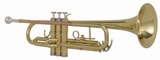 KIT Grassi TR20SK Kit per tromba Sib: include accordatore, letturino, grasso e panno. Campana 123 mm, pistoni in acciaio inox