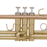 KIT Grassi TR20SK Kit tromba Sib con accessori: accordatore, letturino, grasso e panno. Campana 123 mm, canneggio 11,66 mm