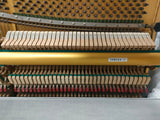 YAMAHA U2 Bianco lucido