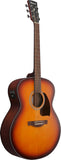 Ibanez PJ50E OAH Chitarra Acustica Amplificata