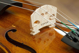 Violino Stentor Student I 3/4, strumento in legno massello con ponticello europeo, completo di custodia sagomata e archetto