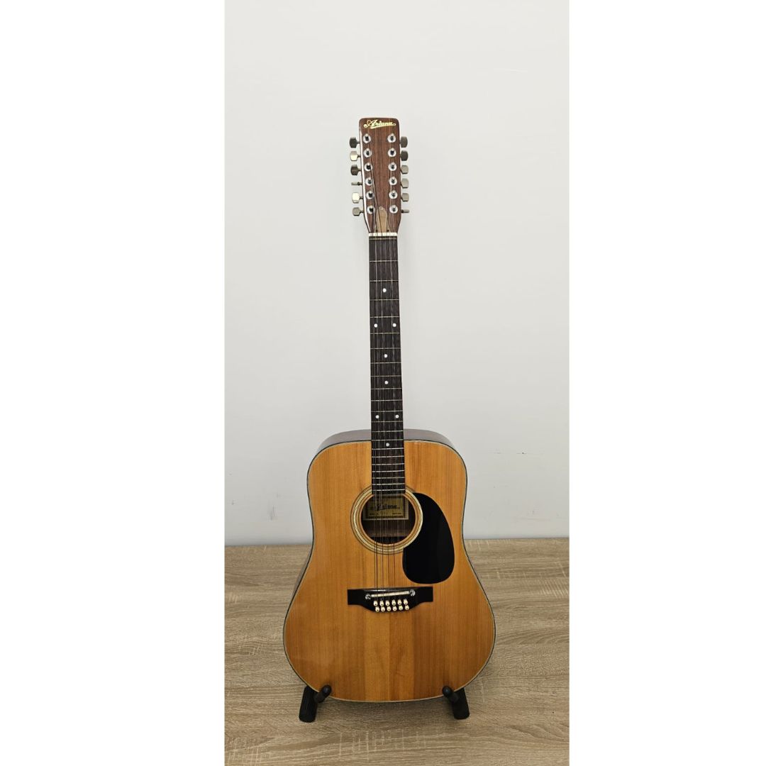 arianna chitarra acustica 12 corde