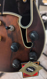 B-STOCK D'angelico Deluxe Mini DC Satin Brown Burst Chitarra Semiacustica