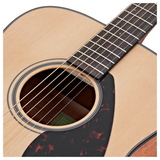 Battipenna Yamaha FG800, chitarra acustica con finitura naturale, top in abete, suono ben bilanciato, ideale per chi inizia a suonare