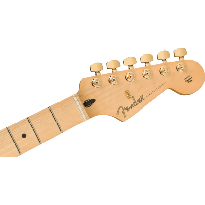 Fender Limited Edition Player Stratocaster Maple Fingerboard Gold Hardware Black