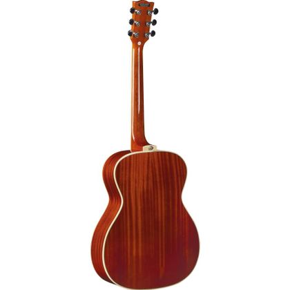 Eko NXT A100 Natural Chitarra Acustica natural