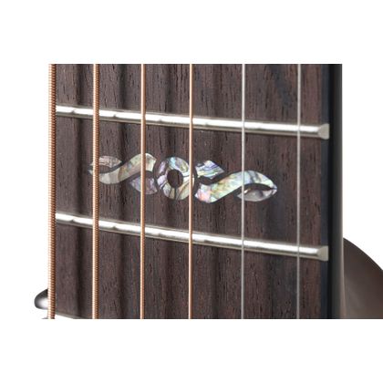 Ovation Celebrity Elite Plus Limited 2024 CE44P-BLFL-G Blue Flamed Maple Acustica Elettrificata