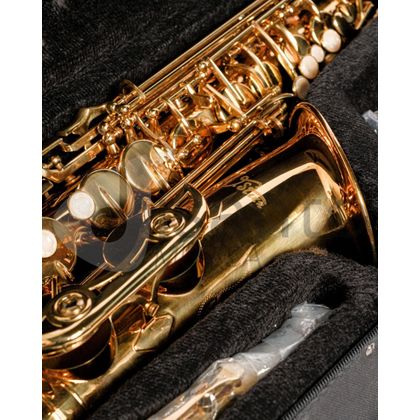 DAM DAS-90 Sax Alto completo di custodia