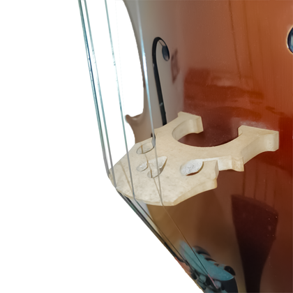 Roling's Violoncello 1/2 B-Stock