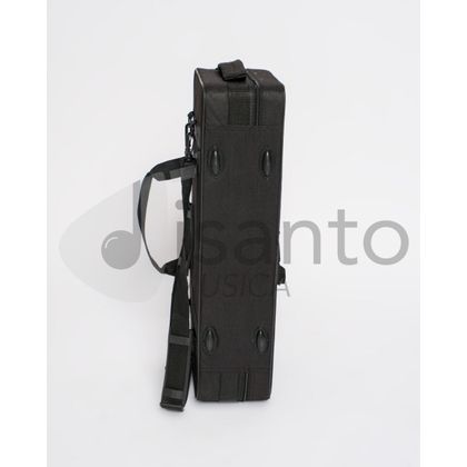 DAM DAS-90 Sax Alto completo di custodia