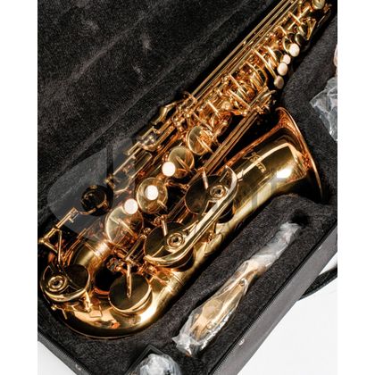 DAM DAS-90 Sax Alto completo di custodia