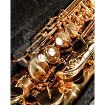 DAM DAS-90 Sax Alto completo di custodia