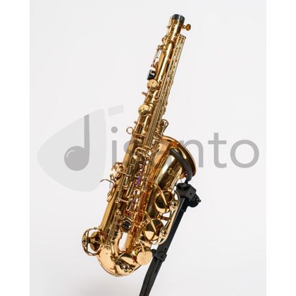 DAM DAS-90 Sax Alto completo di custodia