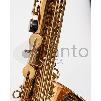 DAM DAS-90 Sax Alto completo di custodia