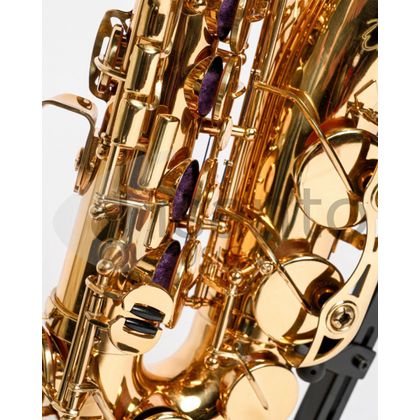 DAM DAS-90 Sax Alto completo di custodia