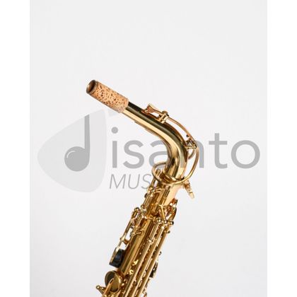 DAM DAS-90 Sax Alto completo di custodia
