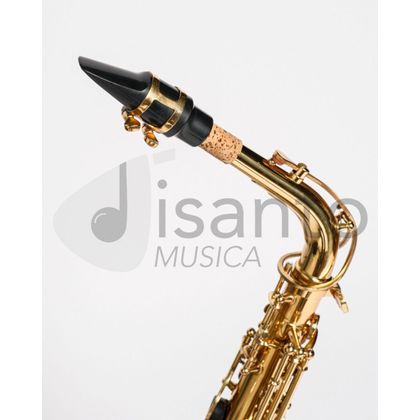 DAM DAS-90 Sax Alto completo di custodia