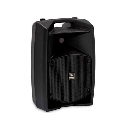 Impianto audio 1150W Coppia Proel V8A + Subwoofer Proel SW115AV2 + cavi omaggio