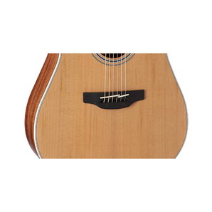 Takamine GD20CE NS Natural Chitarra acustica amplificata