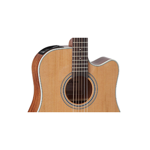 Takamine GD20CE NS Natural Chitarra acustica amplificata