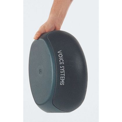 Voice Systems Bee Stage Cassa amplificata 50W