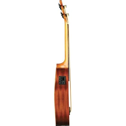 Eko Uku Duo Ukubass Fretless elettrificato in mogano