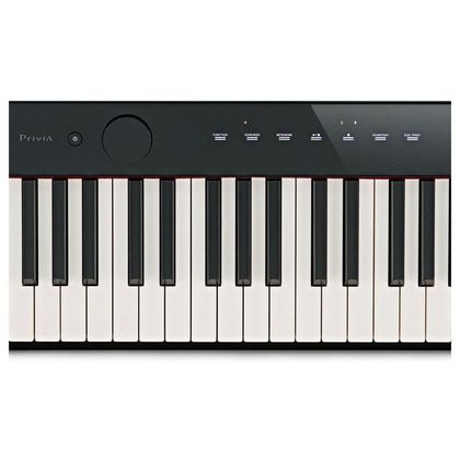Casio Privia PX S1000 Black Stage Piano