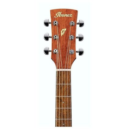 Ibanez PF10-OPN Open Pore Natural Chitarra acustica