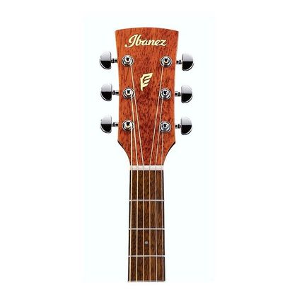 Ibanez PF10CE-OPN Open Pore Natural Chitarra acustica elettrificata