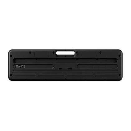 Casio Casiotone LK S250 Tastiera dinamica portatile 61 tasti luminosi