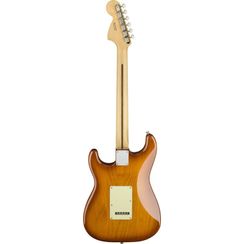 Fender American Performer Stratocaster RW Honey Burst Chitarra elettrica con borsa