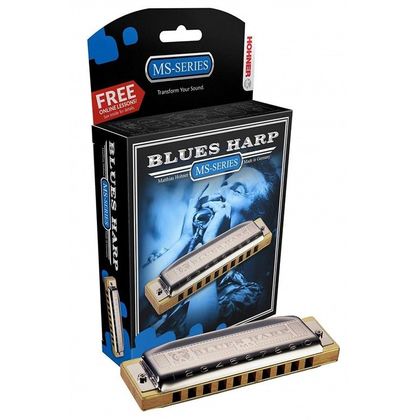 HOHNER BLUES HARP D