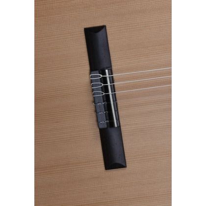 Alhambra Z-Nature CW EZ Chitarra Classica Elettrificata spagnola