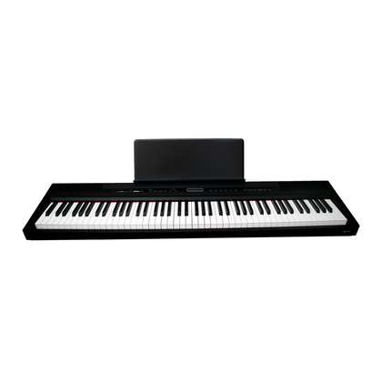 ECHORD SP10 Black Pianoforte digitale 88 tasti pesati nero