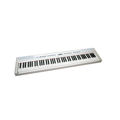 ECHORD SP10 White Pianoforte digitale 88 tasti pesati bianco