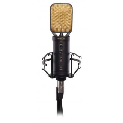 Proel Eikon CM14USB Microfono a condensatore cardioide USB da studio