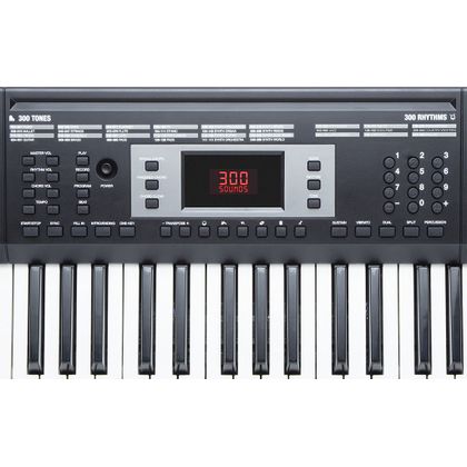 ALESIS Melody 61 MKII Tastiera 61 tasti con accessori